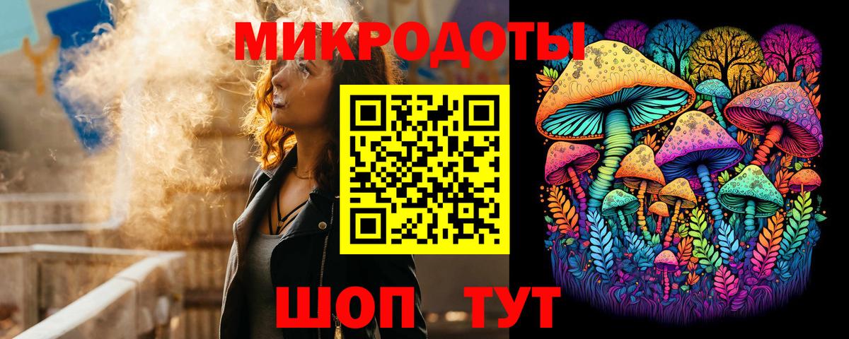 Галлюциногенные грибы Psilocybe  Вход с VPN  Ачхой-Мартан 