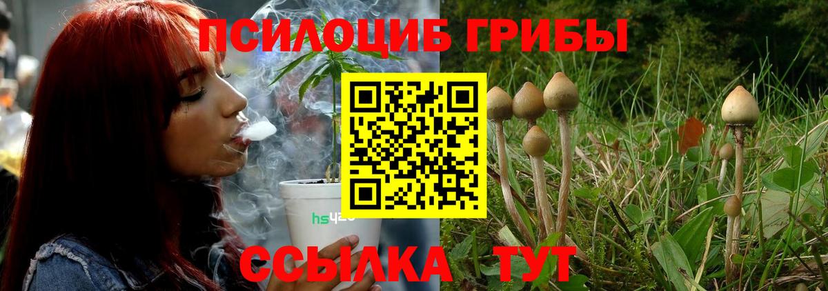 Псилоцибиновые грибы MAGIC MUSHROOMS Ачхой-Мартан